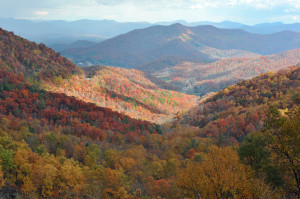 Nantahala National Forest