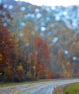 Wind and Rain