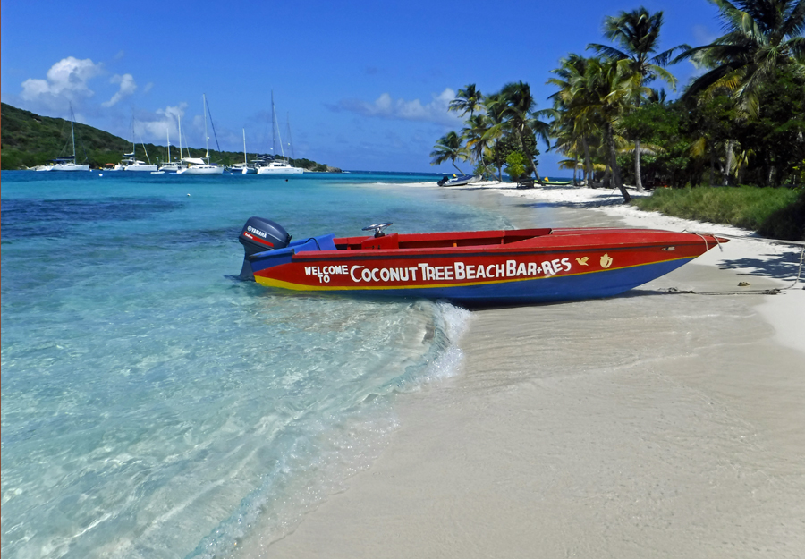 Tobago Cays in Saint Vincent and the Grenadines