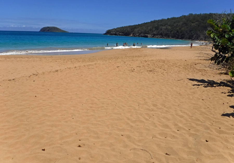 Death in Paradise beach - Grande-Anse Beach - Plage de Grande-Anse