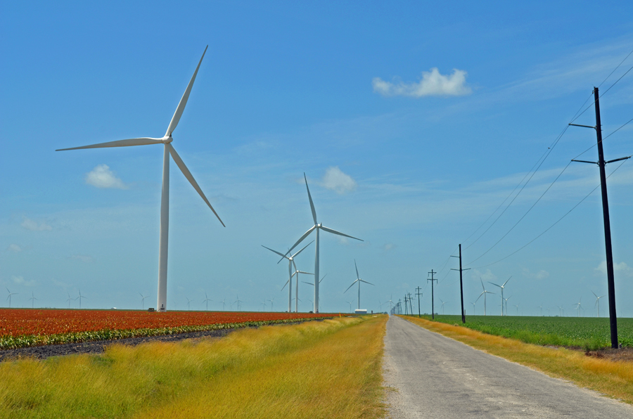 Windmills and power lines on the coastal plains