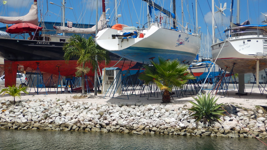 A different slant on the thought: Palm tress and boats