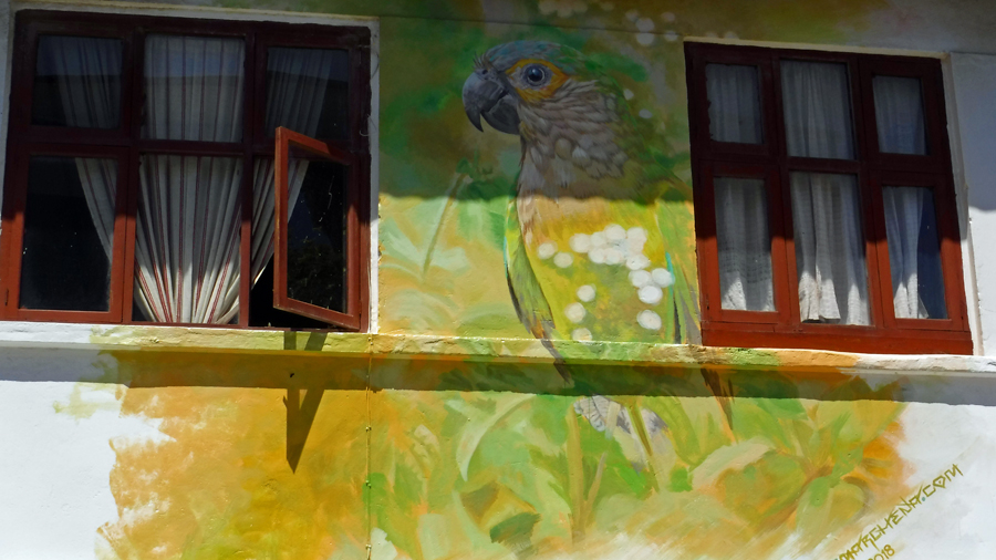 This colorful house sports a parrot