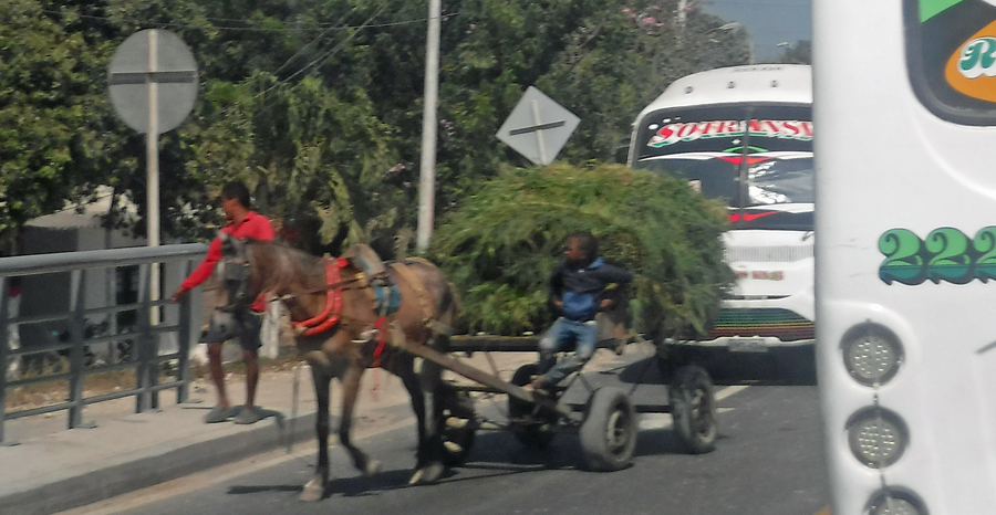 The kid driving this cart in the traffic can't be more than 10 (sorry for the lack of quality - its hard to take clear pictures when traveling at the speed of light)