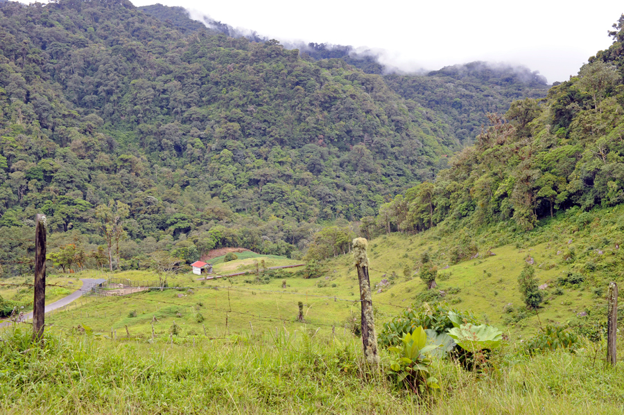 Panama