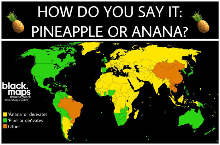 Sails, Toilet Paper, ATMs, Directions, and Food Cream Puff Life's