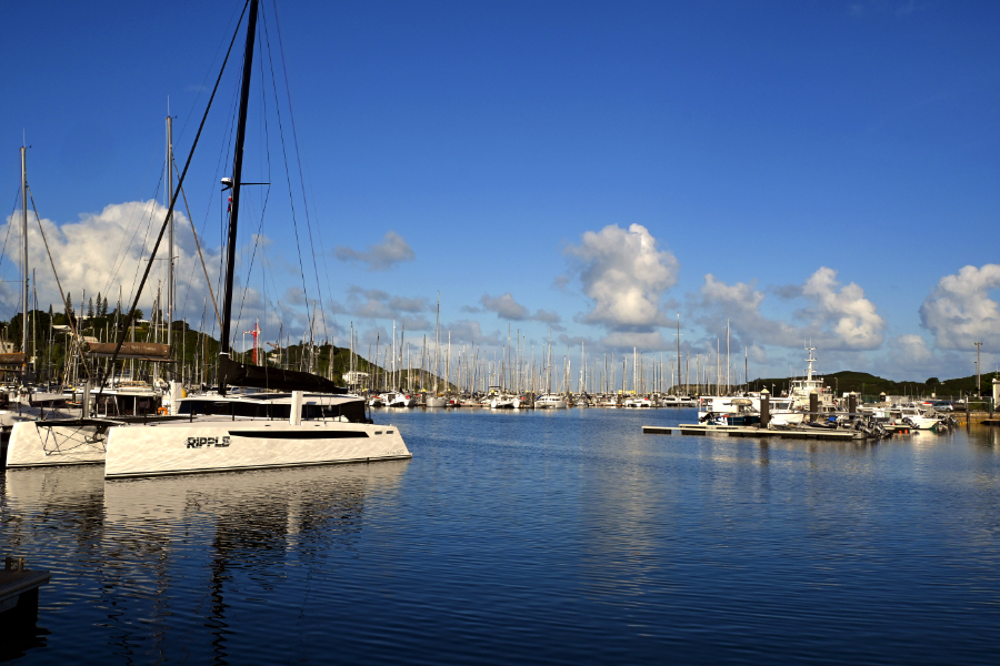 Sailing Blog